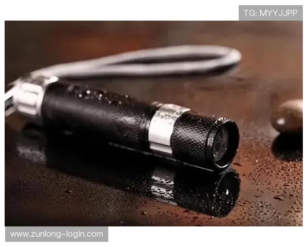 探索尊龙凯时官网app的精彩功能与使用技巧